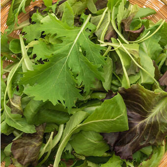 Салатный микс №1